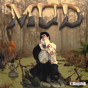 蜜桃视频在线观看www
