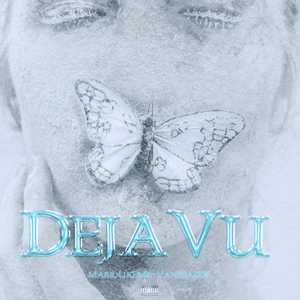 蜜桃视频在线观看www
