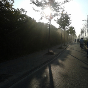 蜜桃视频在线观看www
