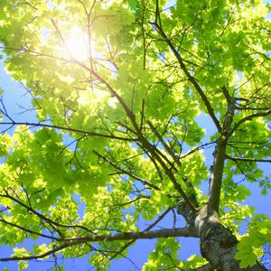 蜜桃视频在线观看www
